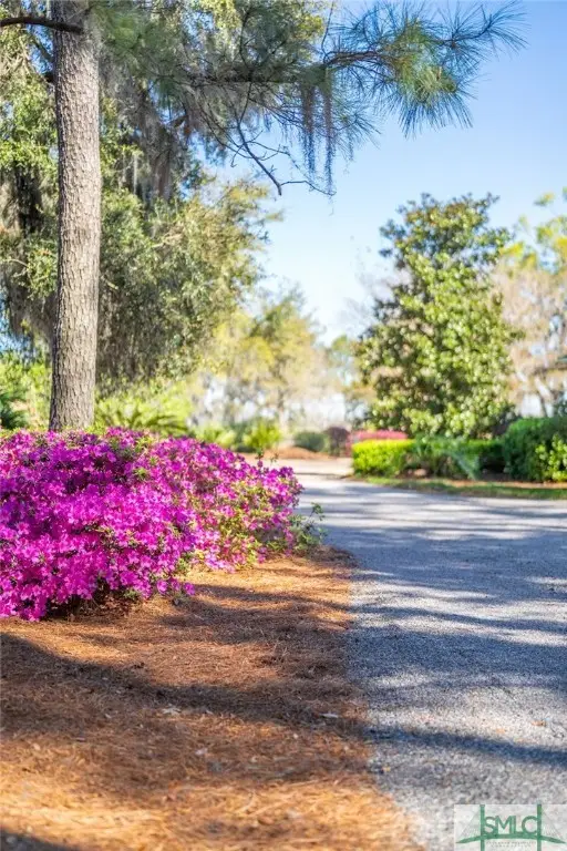 1654 Dublin Drive, Richmond Hill, GA 31324 - Image #2