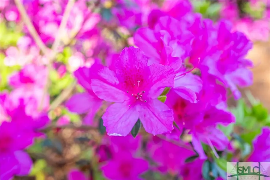 1654 Dublin Drive, Richmond Hill, GA 31324 - Image #3