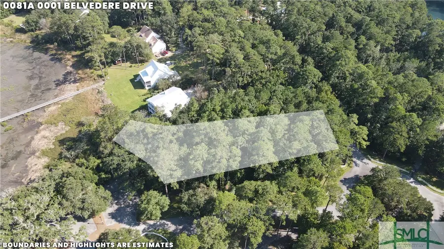 Lot 1 Belvedere Drive, Townsend, GA 31331 - #2