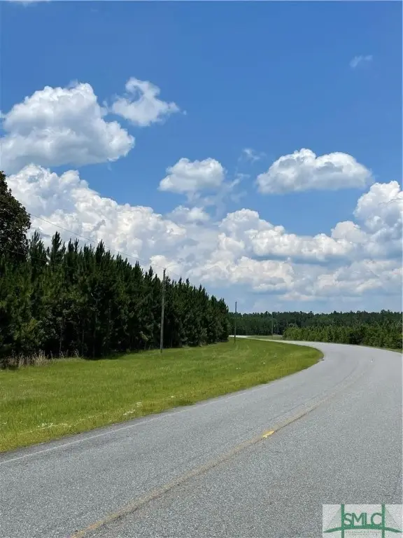 0 Rahn Station Road, Springfield, GA 31329