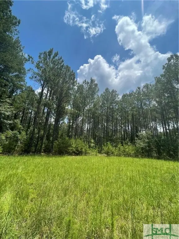 0 Rahn Station Road, Springfield, GA 31329 - Image #2