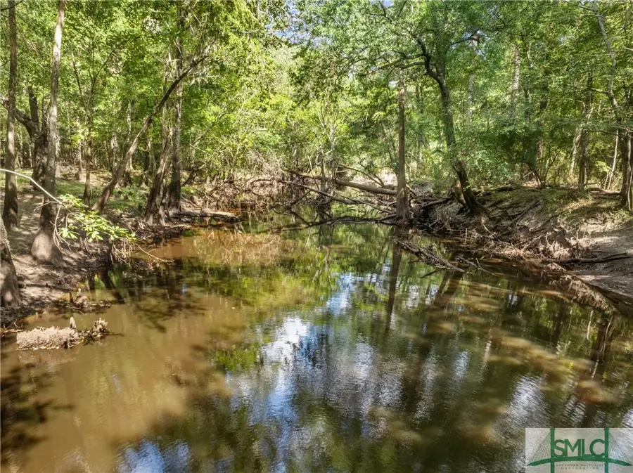 628 Riverside Drive, Claxton, GA 30417 - #2