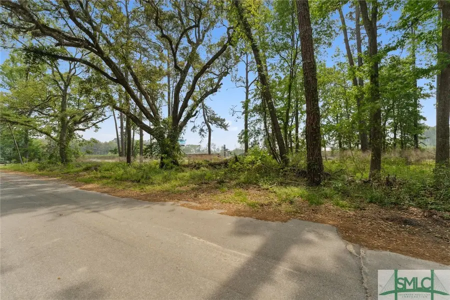 0 Silk Hope Road, Savannah, GA 31405 - Image #2