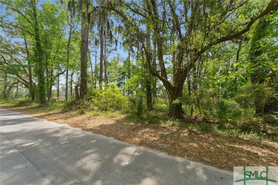0 Silk Hope Road, Savannah, GA 31405 - Image #3