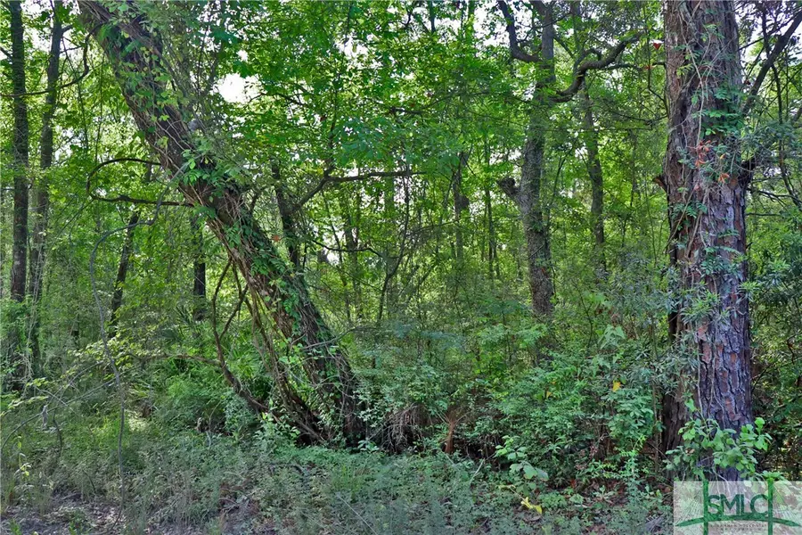 168 Middle Landing Road, Bloomingdale, GA 31302 - Image #2