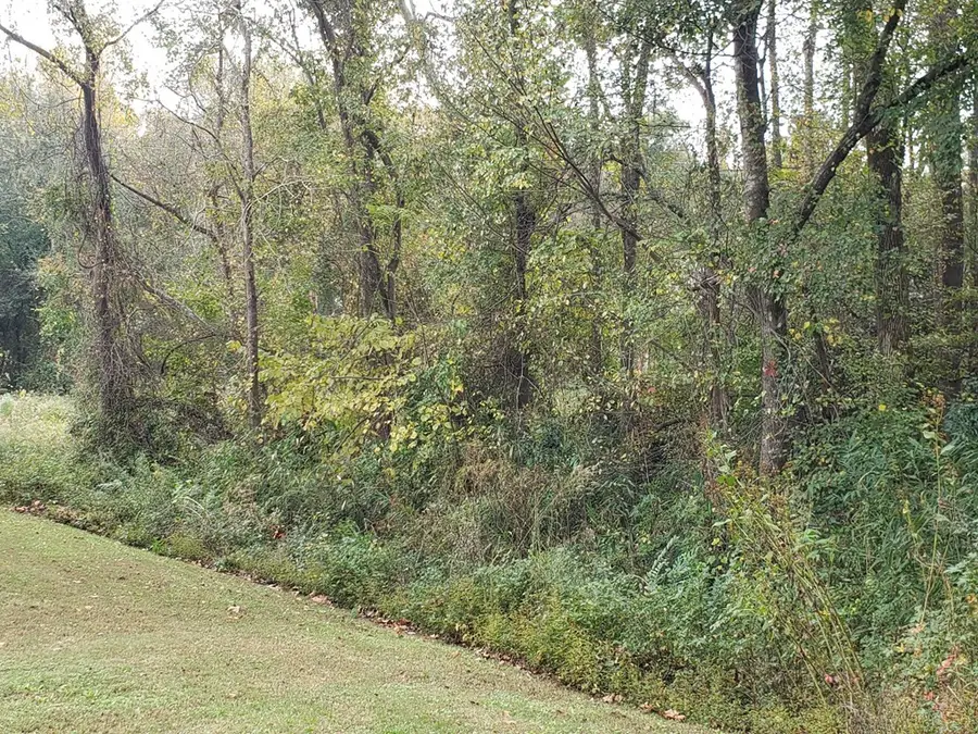 646 Wellington Drive, Evans, GA 30809 - Image #3