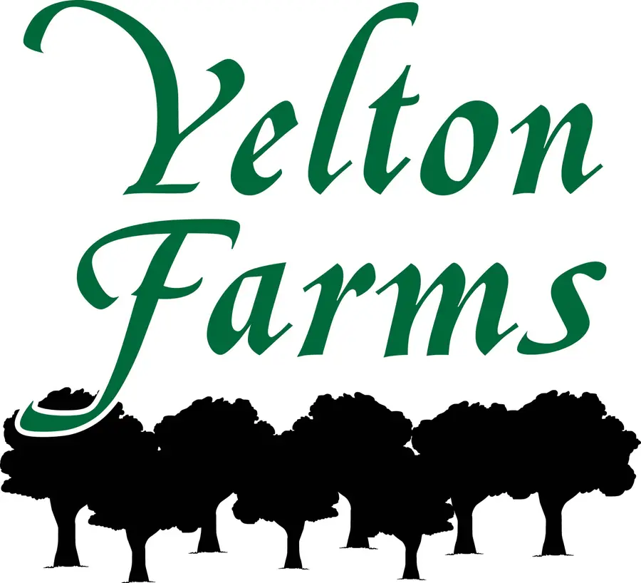 3395 Tom Bartles Road, Appling, GA 30802 - Image #2