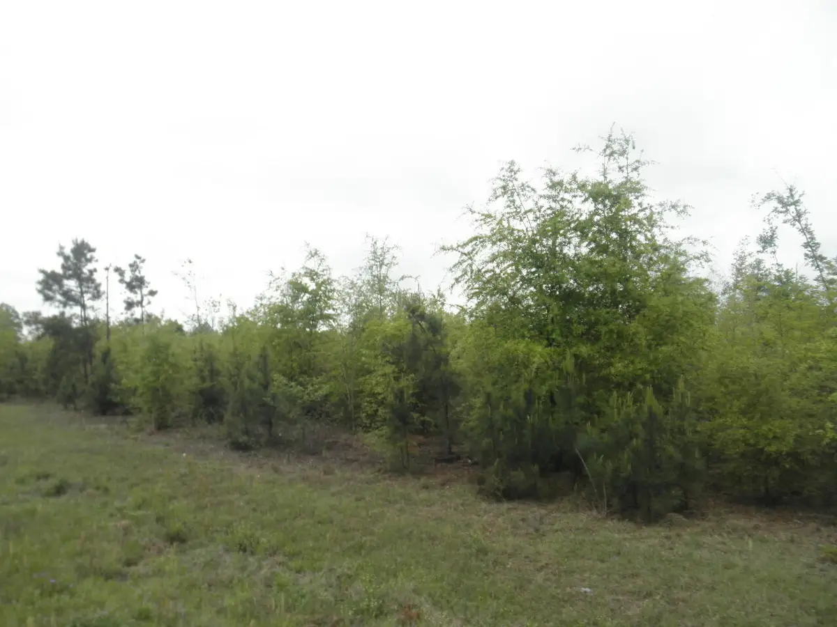 00 Highway 23, Waynesboro, GA 30830 - Image #1