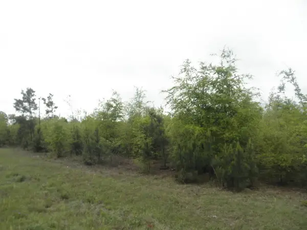 00 Highway 23, Waynesboro, GA 30830