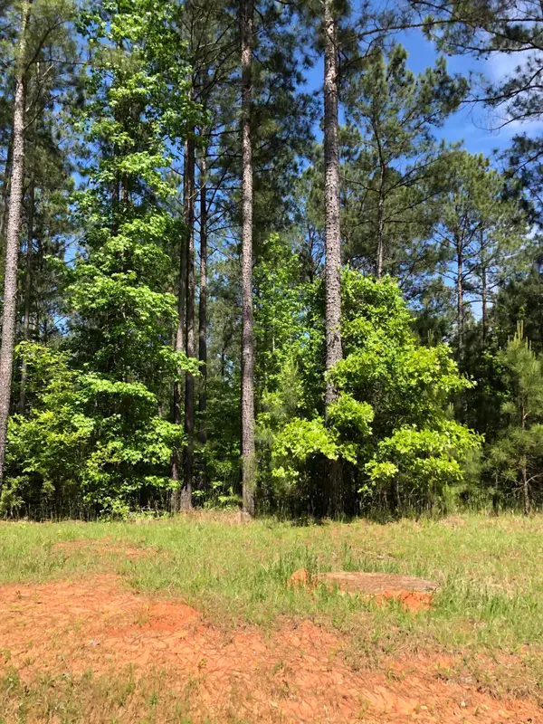 LOT 3 C Lighthouse Pointe, Lincolnton, GA 30817