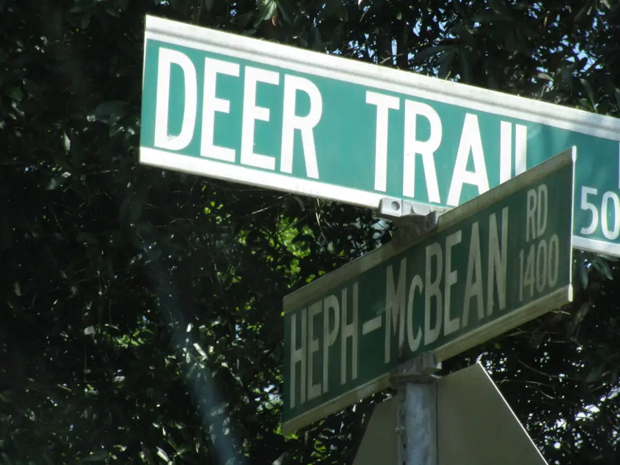 1436 Hephzibah Mcbean Road, Hephzibah, GA 30815 - Image #3