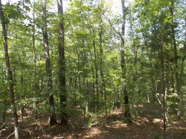 11 Doe Run, Lincolnton, GA 30817