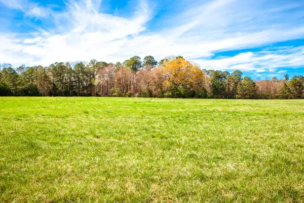 LOT 2 Mistletoe Rd, Appling, GA 30802