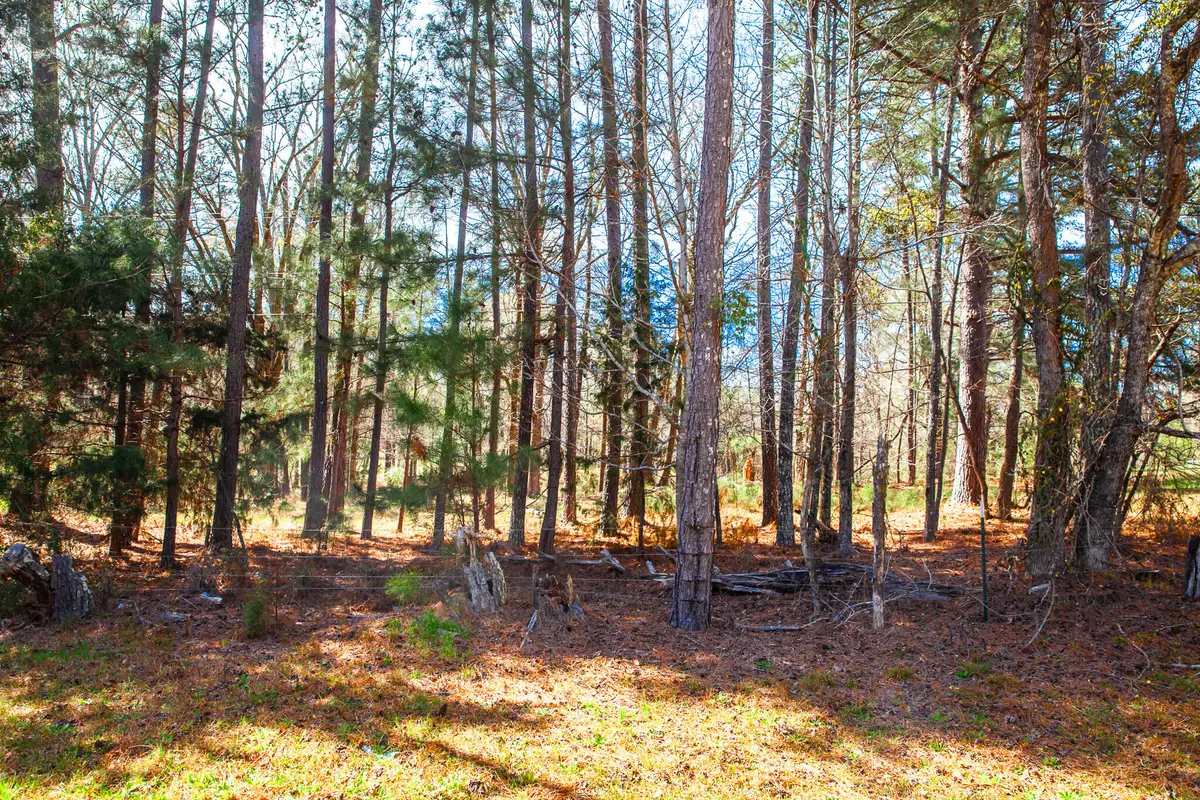LOT 7 Mistletoe Rd, Appling, GA 30802 - Image #1