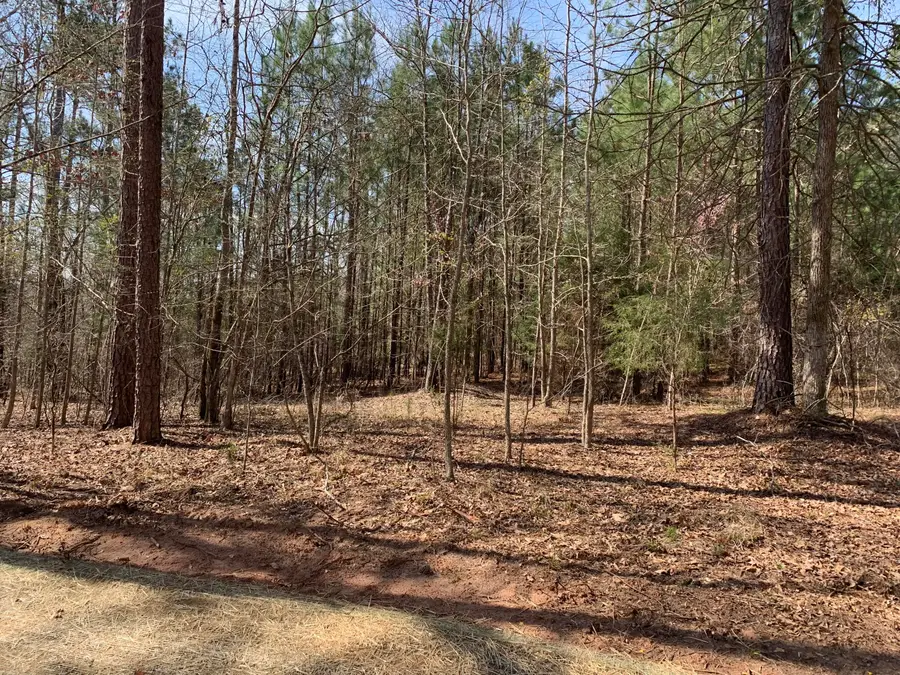 1403 Tanyard Creek Drive, Thomson, GA 30824 - Image #2