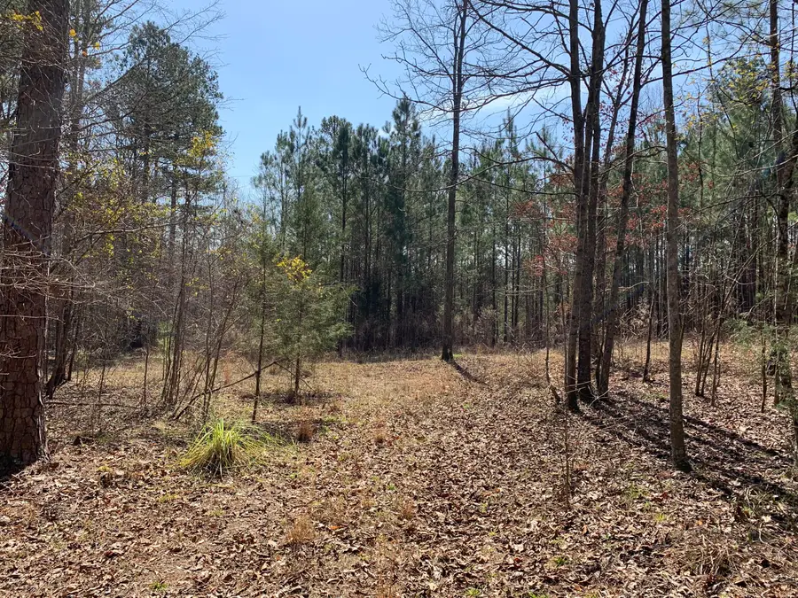 1403 Tanyard Creek Drive, Thomson, GA 30824 - Image #3