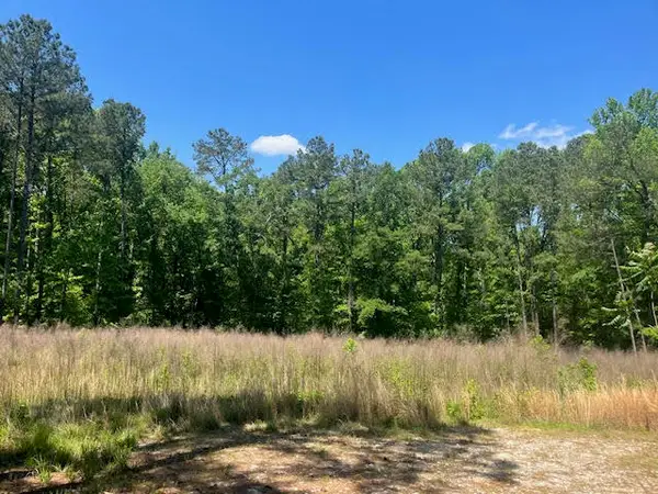 0000 Dooly Springs, Lincolnton, GA 30817