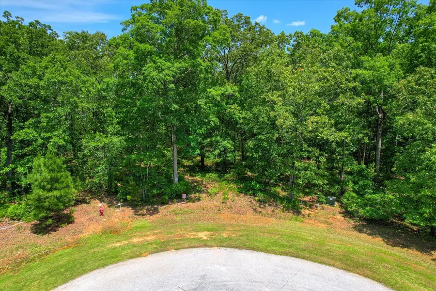 1164 Sally Ann Court, Lincolnton, GA 30817 - #2