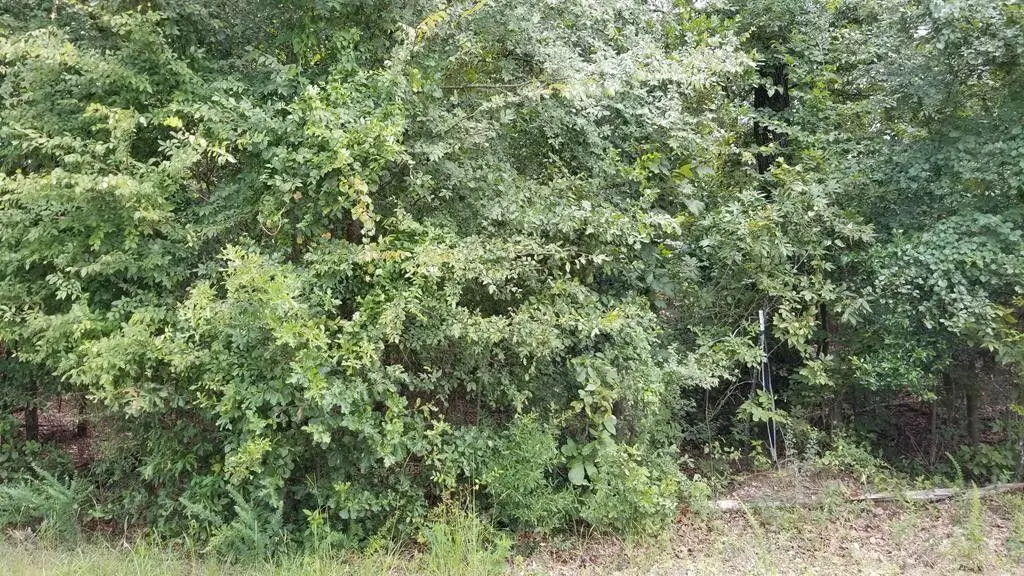 LOT 27 Fairway Drive, New Ellenton, SC 29809 - Image #1