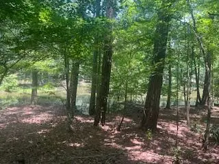 BL39 L8 Vista Lane, McCormick, SC 29835 - Image #3