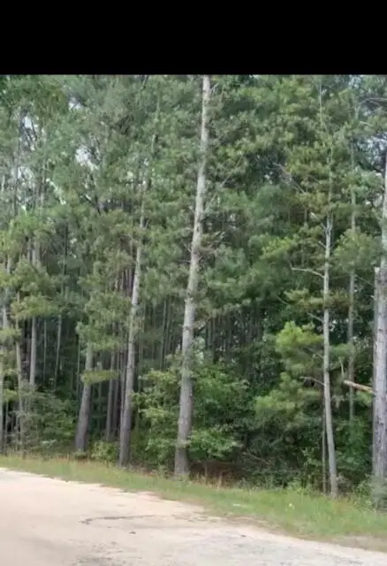 0 Bermuda Hill Hill, Trenton, SC 29847 - Image #1