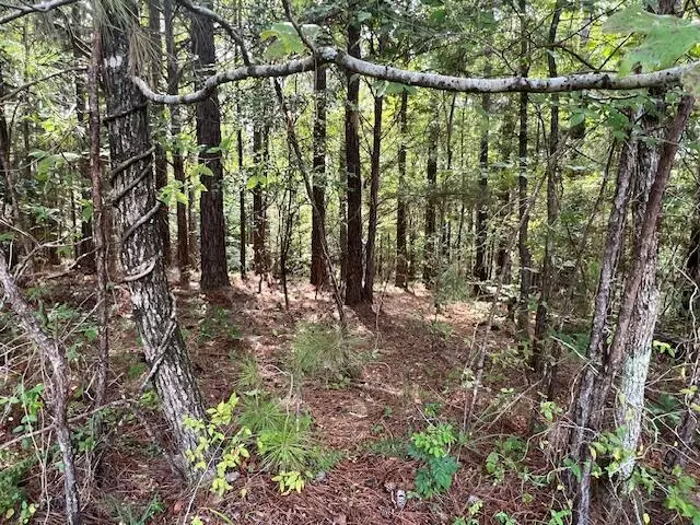 14-11 Arbor Lane, McCormick, SC 29835 - Image #3