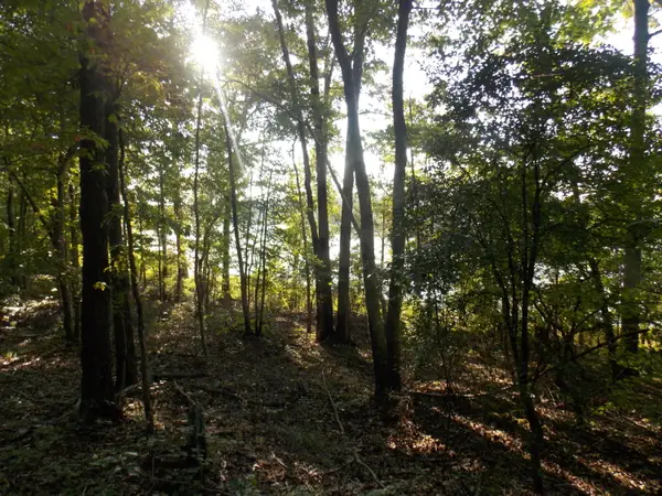 59 Westwind Harbour Rd, Lincolnton, GA 30817