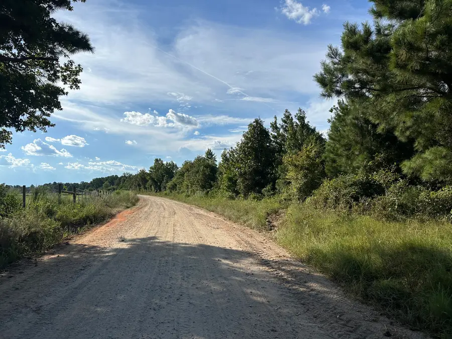 0 Netherland Drive, Midville, GA 30441 - Image #2