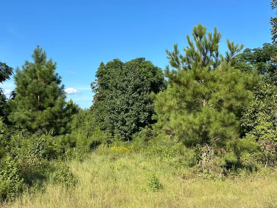 0 Netherland Drive, Midville, GA 30441 - Image #3