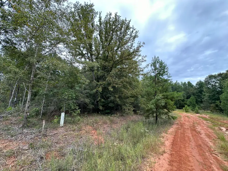 0-36 Nelson Court, Louisville, GA 30434 - Image #3