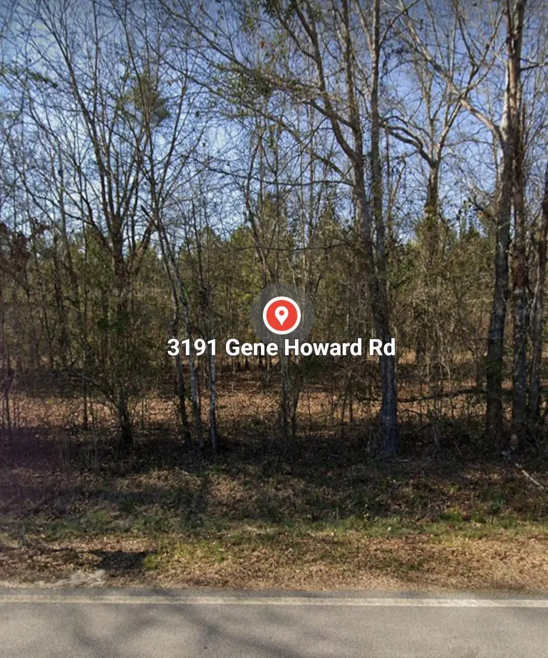 3191 Gene Howard Road, Stapleton, GA 30823 - Image #1