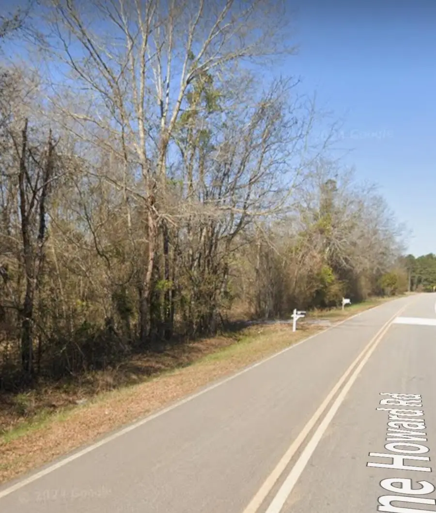 3191 Gene Howard Road, Stapleton, GA 30823 - Image #3