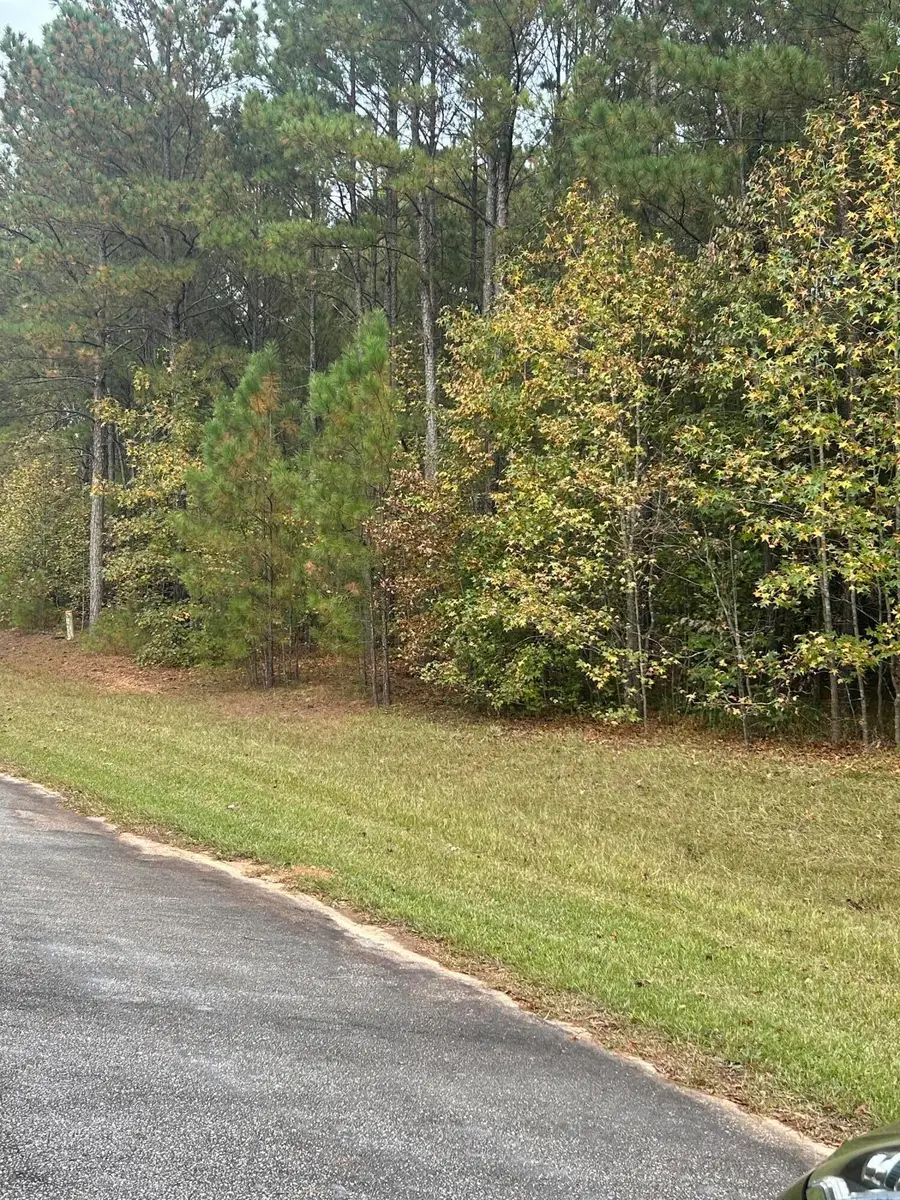 29 Eagle Pointe, Lincolnton, GA 30817 - Image #3