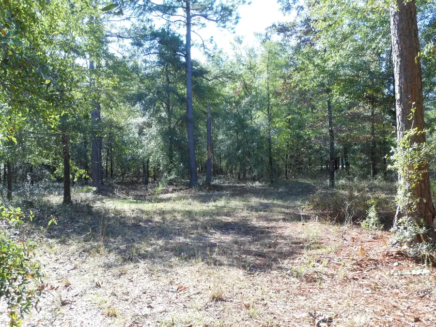 125 Jack Delaigle Road, Waynesboro, GA 30830 - Image #3