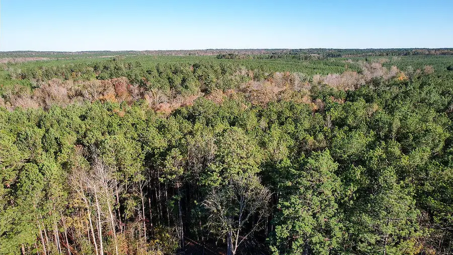 1203 Miles Road, Harlem, GA 30814 - Image #3