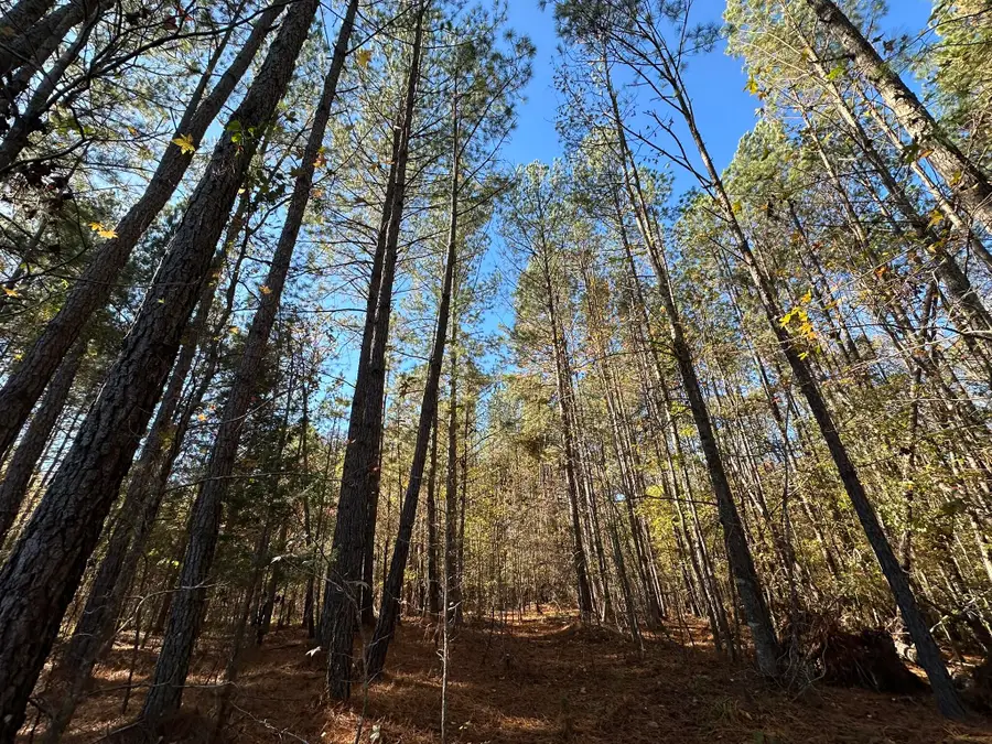 1235 Edge Lane, Tignall, GA 30668 - Image #2