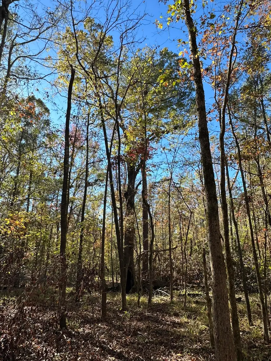 1235 Edge Lane, Tignall, GA 30668 - Image #3