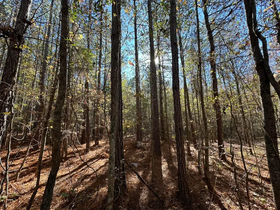 1229 Edge Lane, Tignall, GA 30668 - Image #2