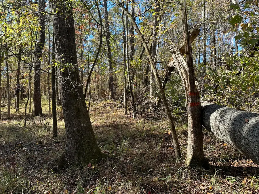 1229 Edge Lane, Tignall, GA 30668 - Image #3