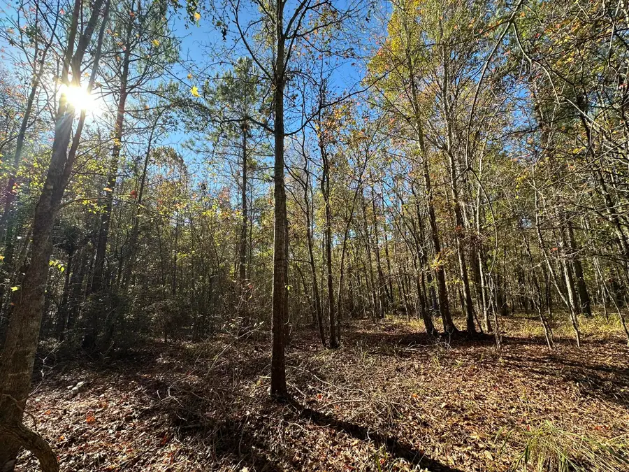 1217 Edge Lane, Tignall, GA 30668 - Image #2