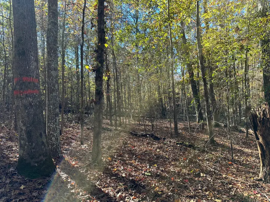 1217 Edge Lane, Tignall, GA 30668 - Image #3