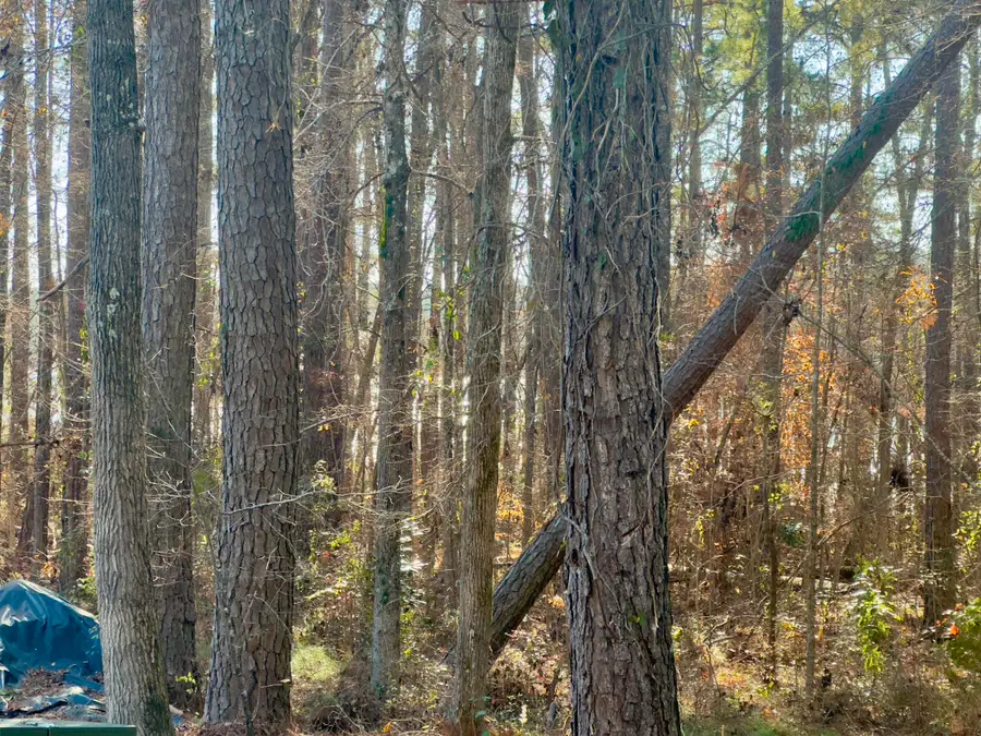 B4L18 Favern Lane, McCormick, SC 29835 - Image #3