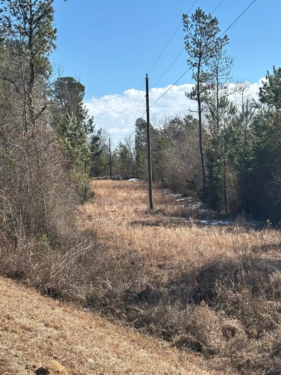 4 County Line Road, Mitchell, GA 30820 - Image #2