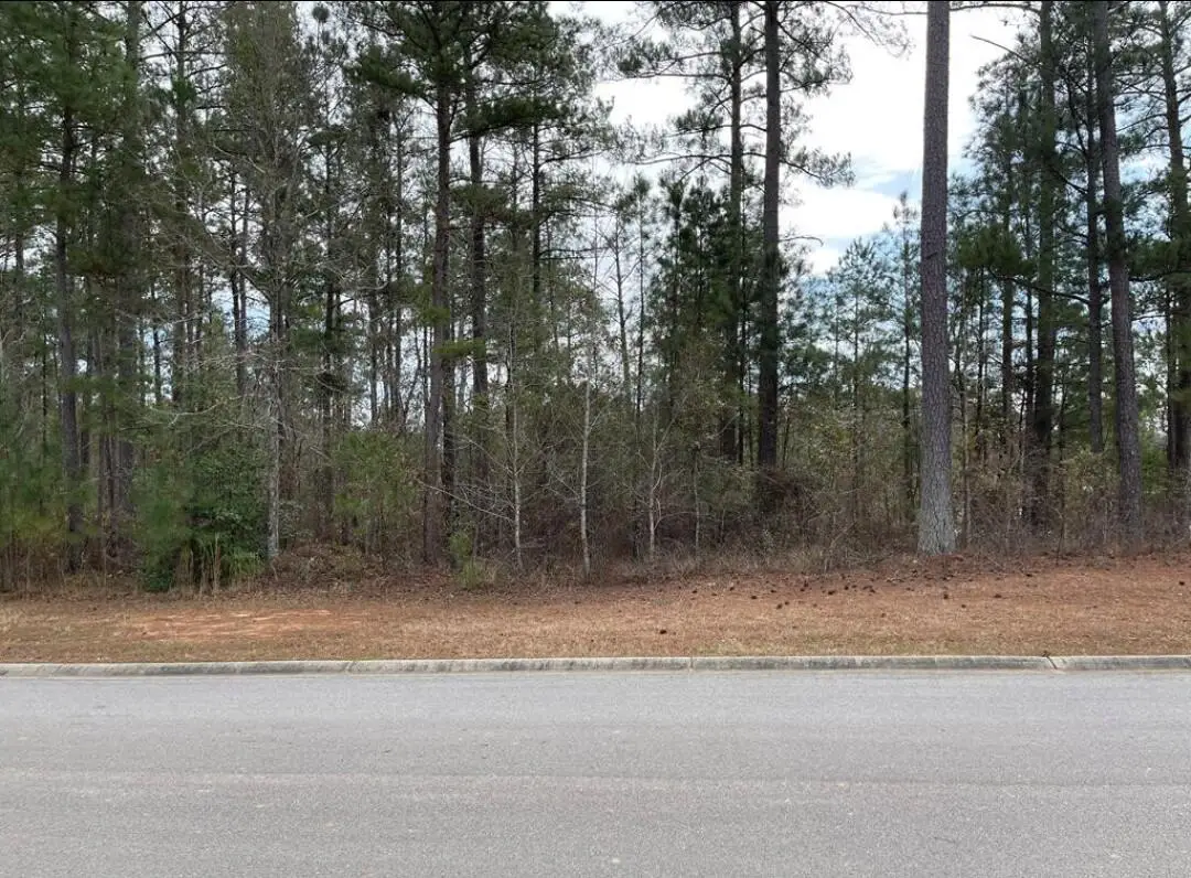 N-53 Eutaw Springs Trail, North Augusta, SC 29860 - Image #1