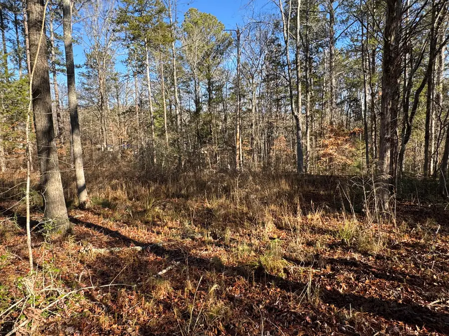 33 Lone Eagle Way, Iva, SC 29655 - Image #3