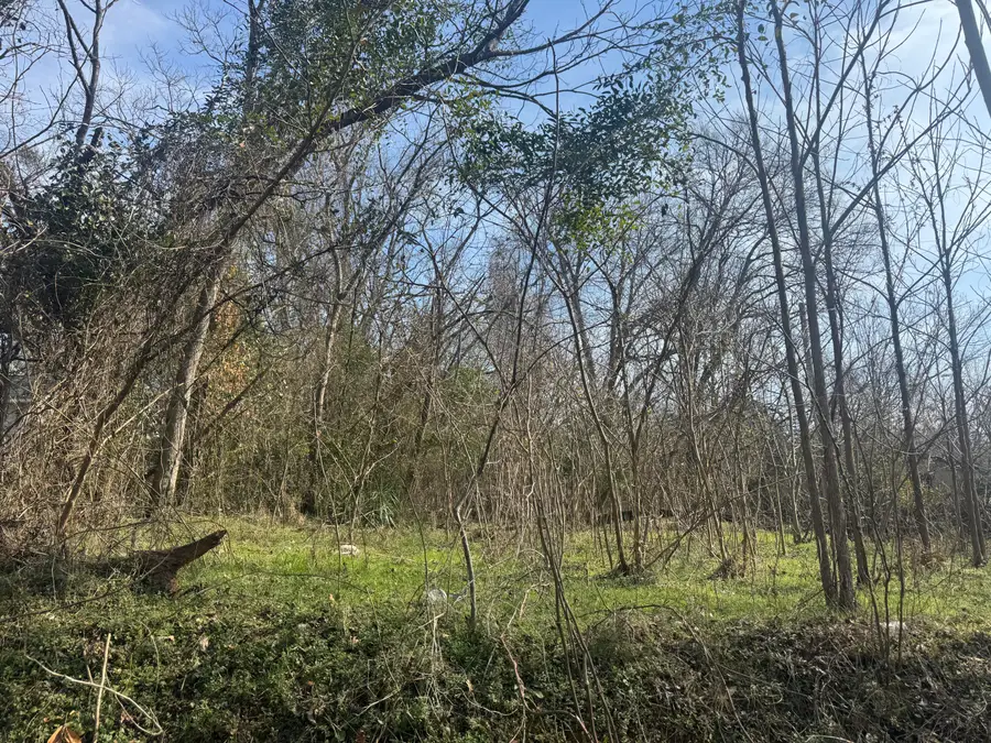 203 Peter Street, Washington, GA 30673 - Image #2