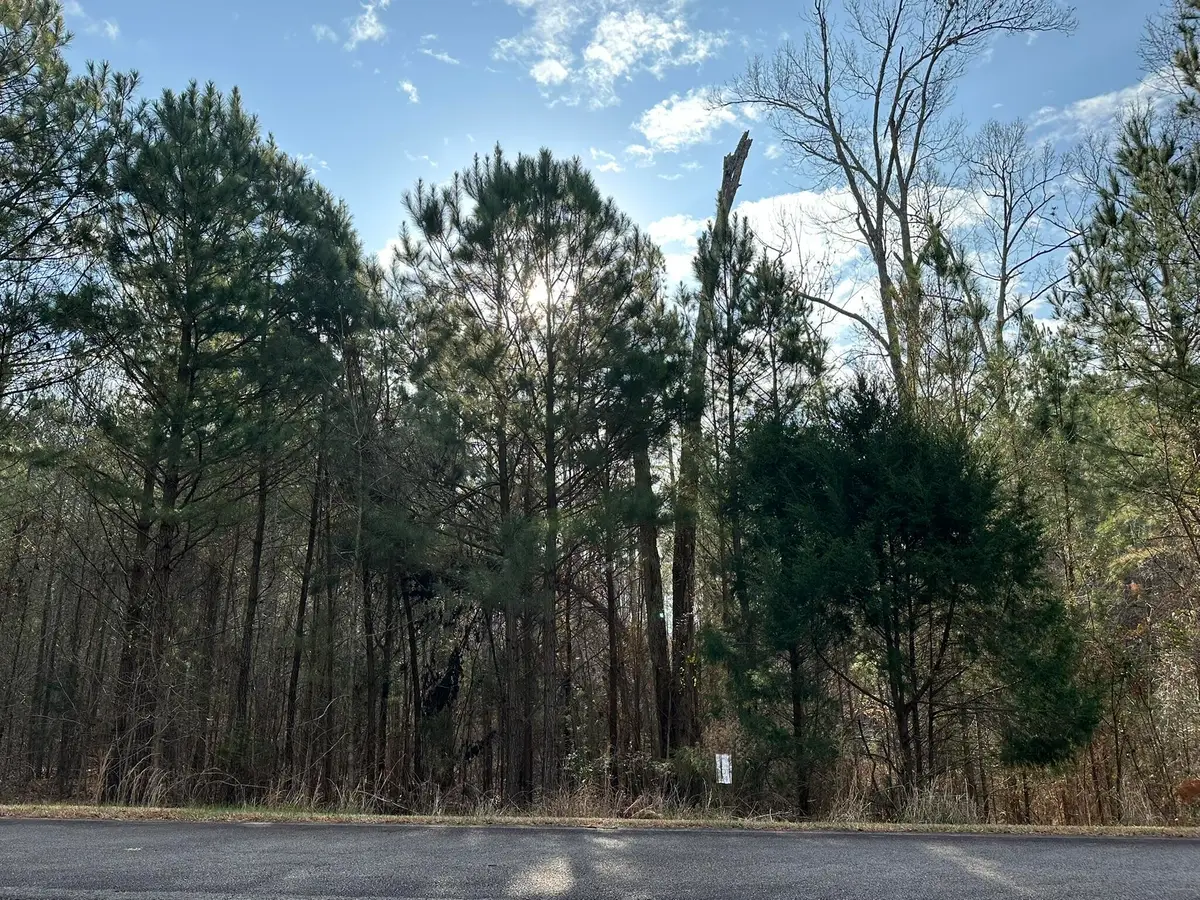 1106 Longleaf Way, Lincolnton, GA 30817 - Image #1