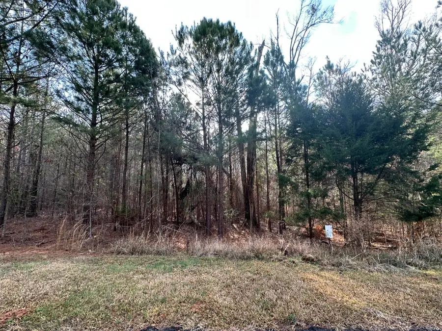 1106 Longleaf Way, Lincolnton, GA 30817 - Image #2