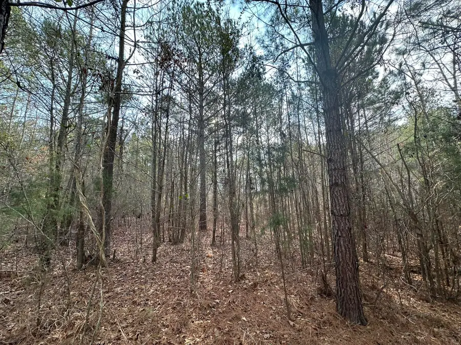 1106 Longleaf Way, Lincolnton, GA 30817 - Image #3