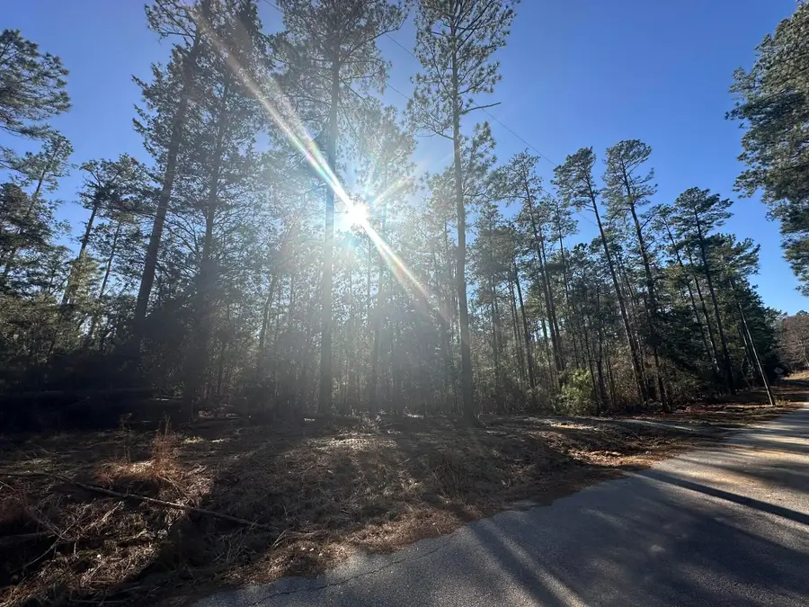 1035 Seminole Drive, Lincolnton, GA 30817 - Image #2